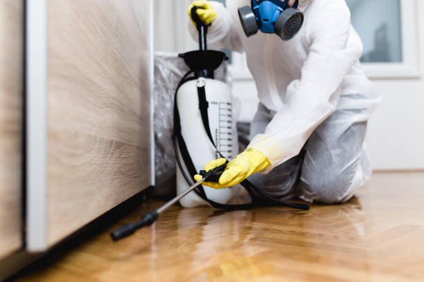 Best Pest Inspection Near Me  in Picnic Point, WA