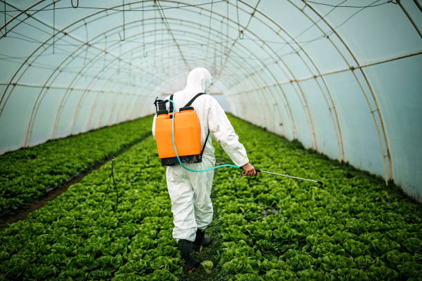 Best Residential Pest Control  in Picnic Point, WA