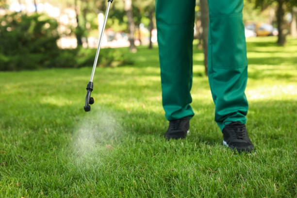 Best Cockroach Control Services  in Picnic Point, WA