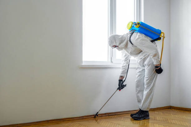 Best Pest Removal Services  in Picnic Point, WA