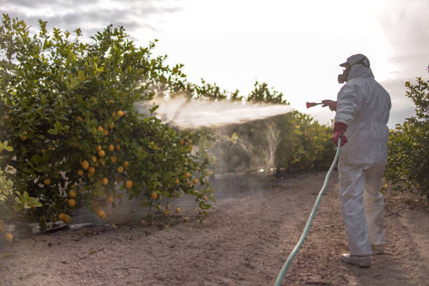 Picnic Point, WA Pest Control Company