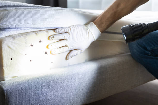 Best Pest Control Near Me in Picnic Point, WA