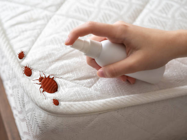 Best Emergency Pest Control  in Picnic Point, WA