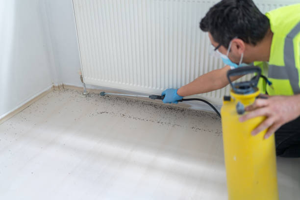 Best Pest Control Near Me  in Picnic Point, WA