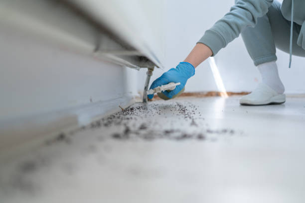 Best Wasp Removal Services  in Picnic Point, WA