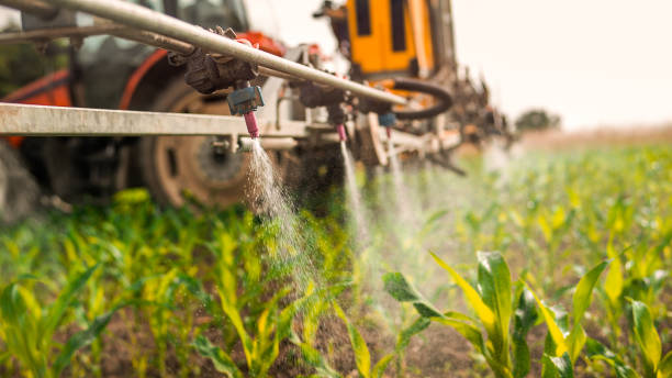 Best Best Pest Control Companies  in Picnic Point, WA